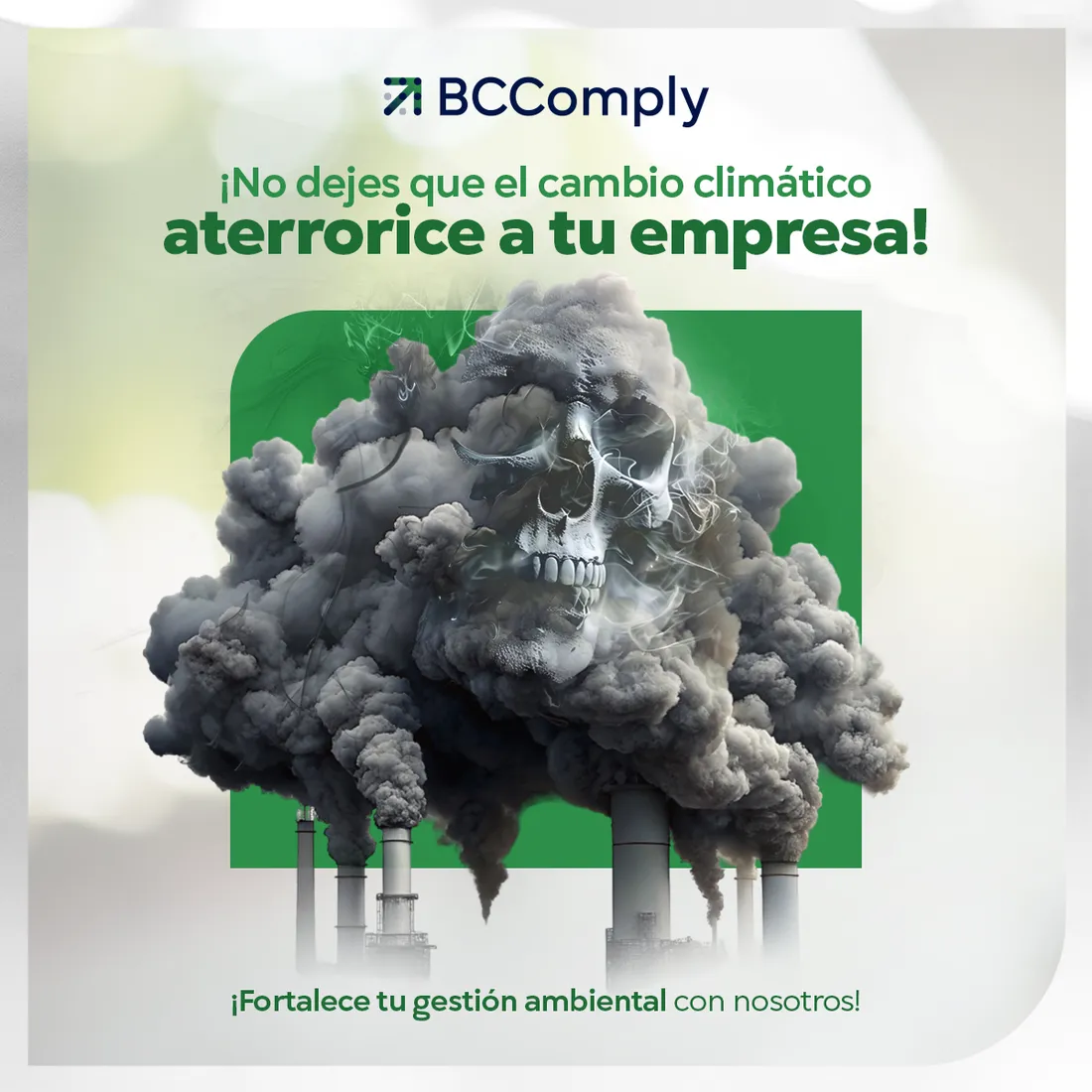 Diseño de La Guayaba Online para BC Comply