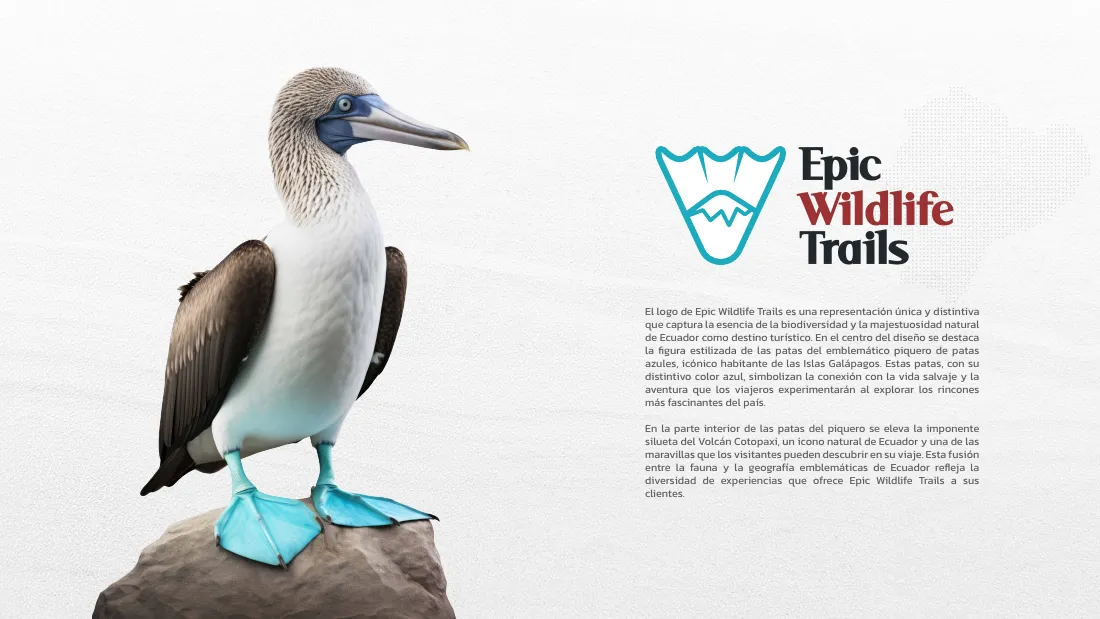 Manual de marca de Epic Wildlife por La Guayaba Online