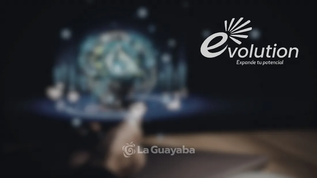 Manual de marca de Evolution por La Guayaba Online