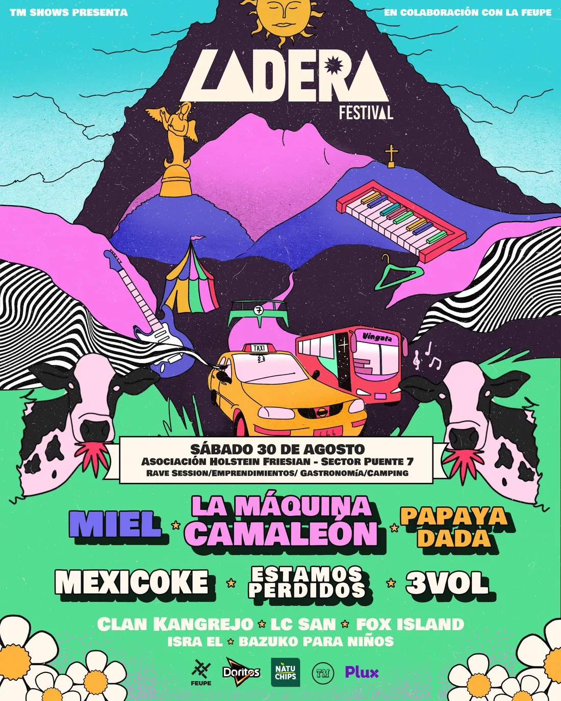 Diseño de La Guayaba Online para Ladera