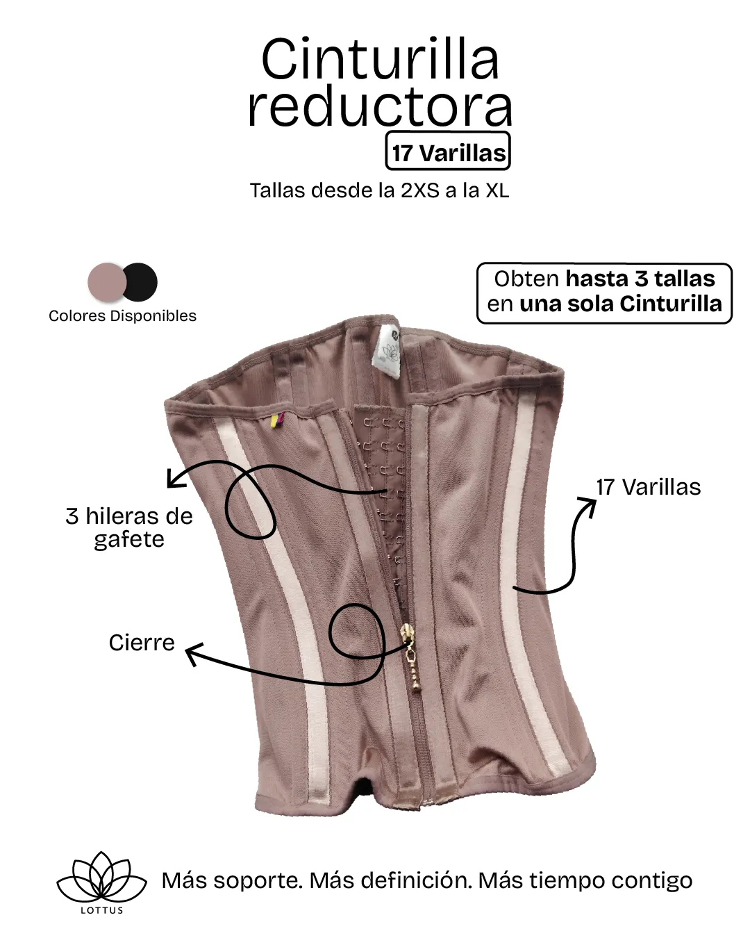 Diseño de La Guayaba Online para Lottus
