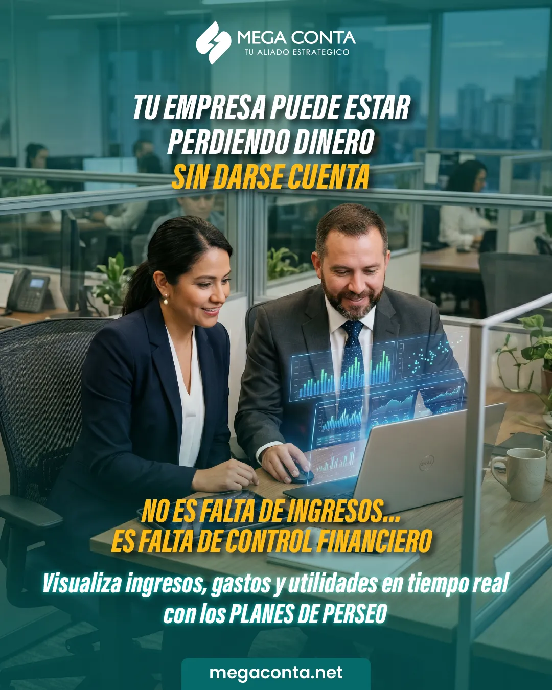Diseño de La Guayaba Online para Megaconta