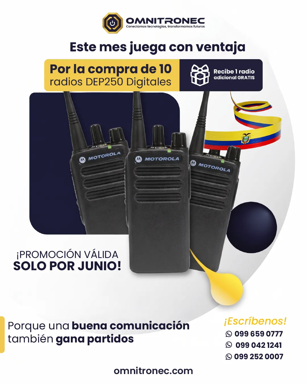 Diseño de La Guayaba Online para Omnitronec