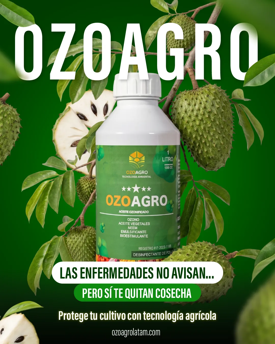Diseño de La Guayaba Online para Ozoagro