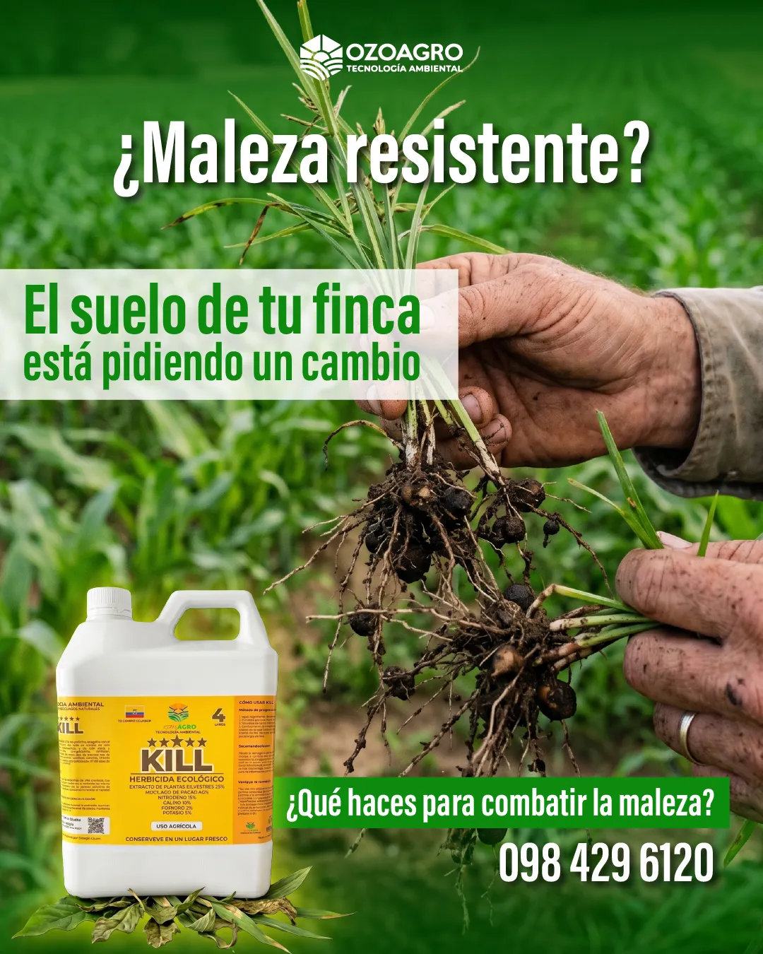 Diseño de La Guayaba Online para Ozoagro