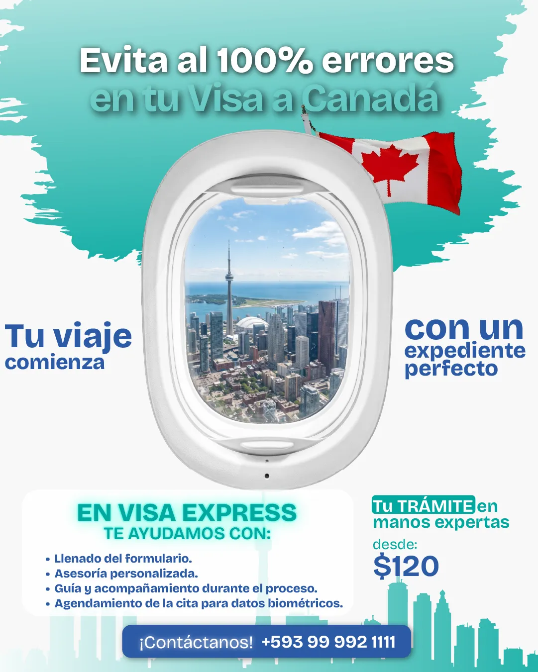 Diseño de La Guayaba Online para Visa Express