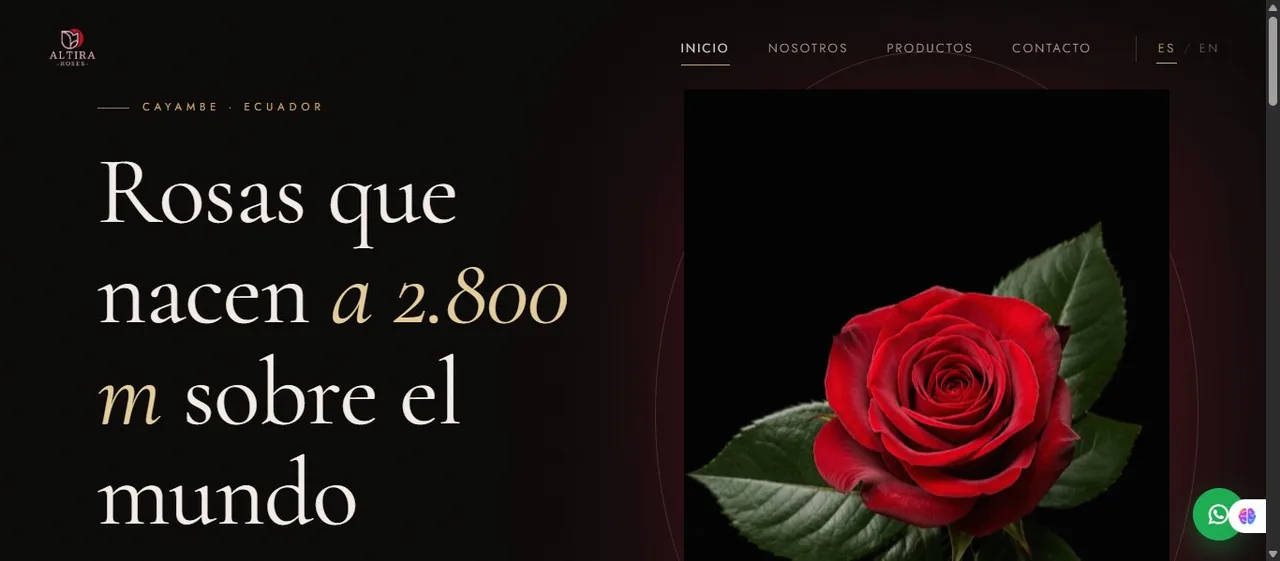 Sitio web de Altira desarrollado por La Guayaba