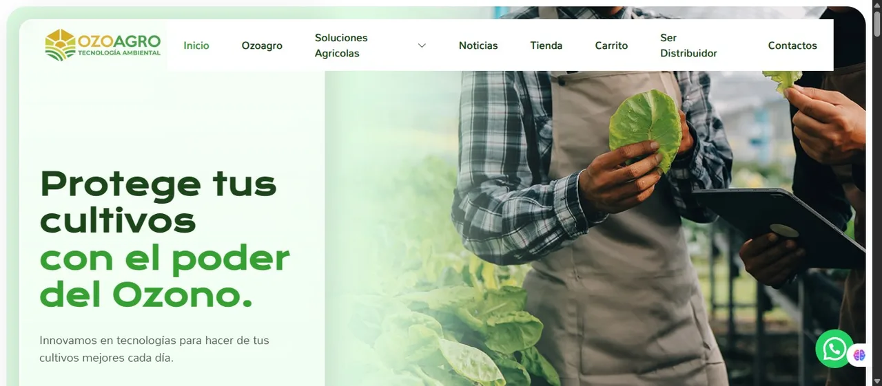 Sitio web de Ozoagro desarrollado por La Guayaba