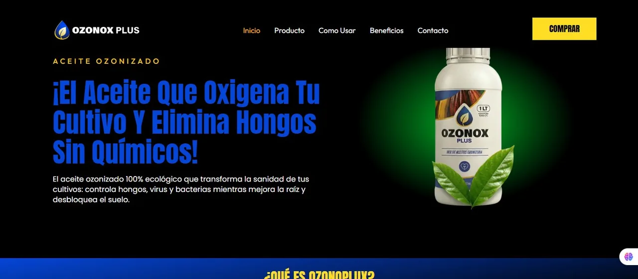 Sitio web de Ozonox Plus desarrollado por La Guayaba